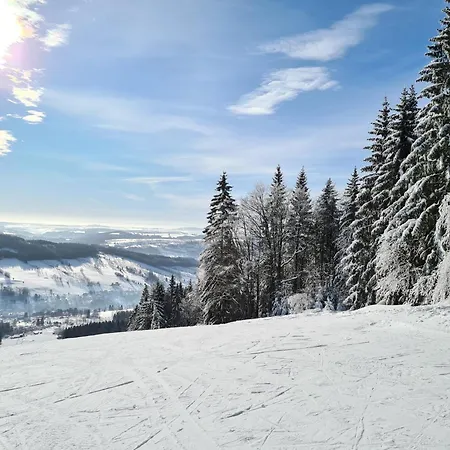 Studenoff Διαμέρισμα Rokytnice nad Jizerou