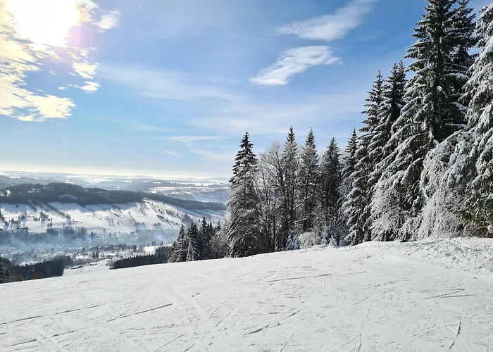 Studenoff Lägenhet Rokytnice nad Jizerou
